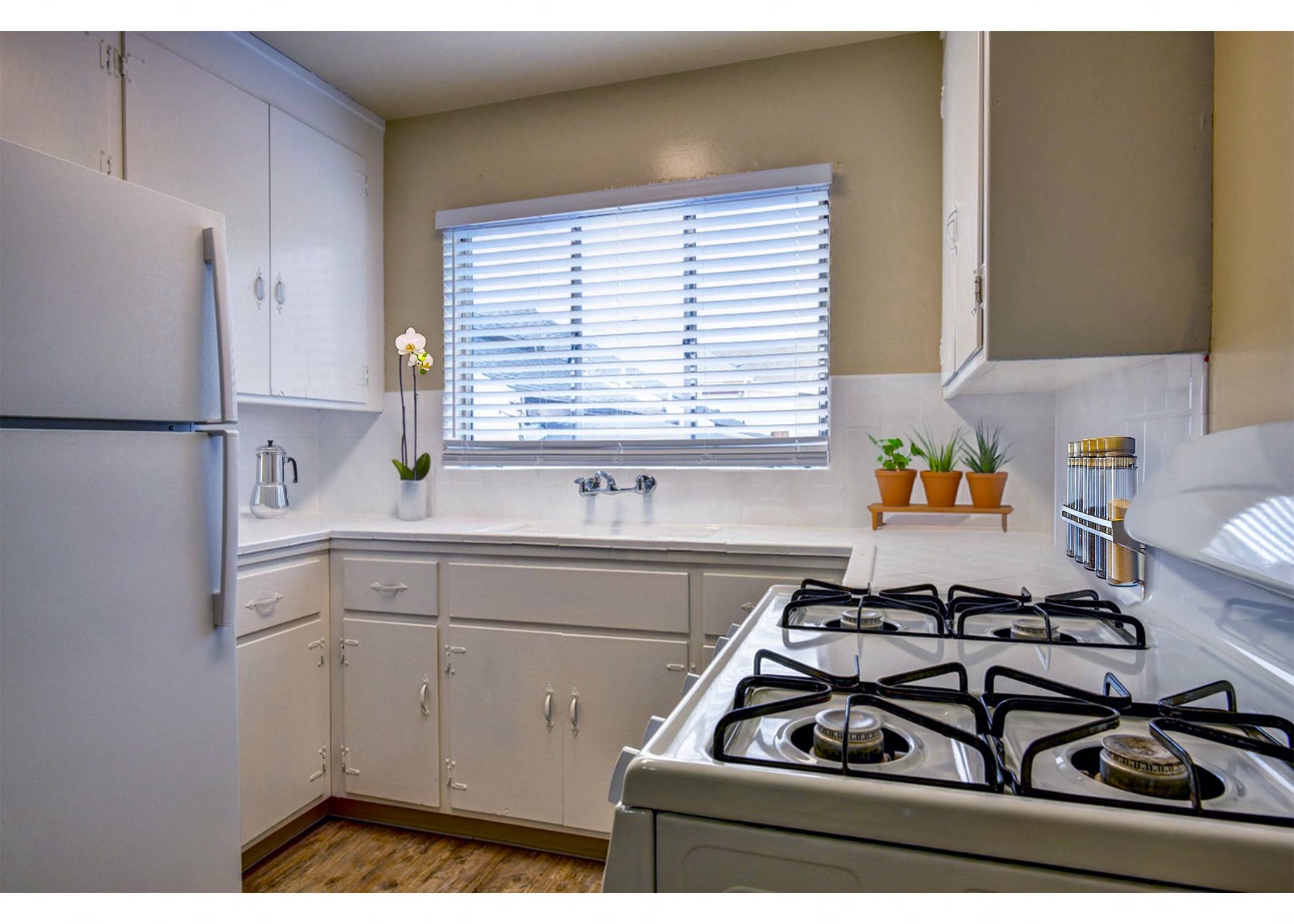 1617 Bay Street Apartments photo 4